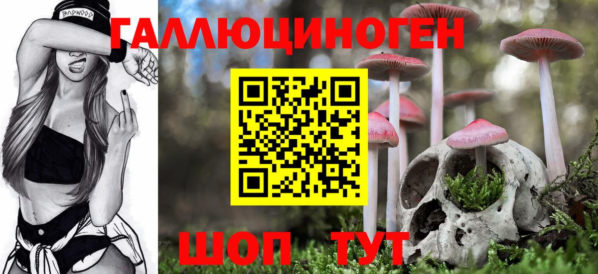 Галлюциногенные грибы ЛСД  Галлюциногенные грибы GOLDEN TEACHER  Приморско-Ахтарск  Вход с VPN 